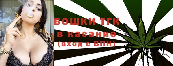 твердый Весьегонск