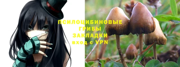 мяу мяу мука Гусев