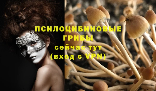 гашишное масло Гусь-Хрустальный