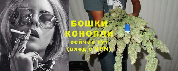 мяу мяу мука Гусев