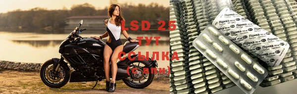 мяу мяу мука Гусев